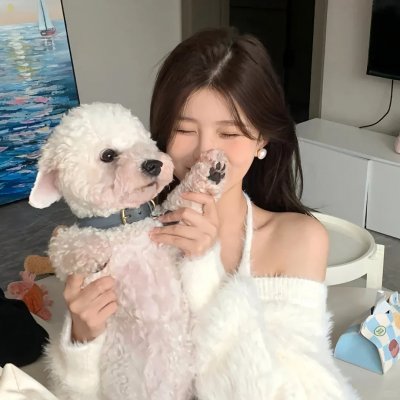 冒牌总统